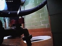 Amateur females in public toilet spread on the voyeur cam